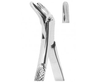Extracting Forceps American pattern